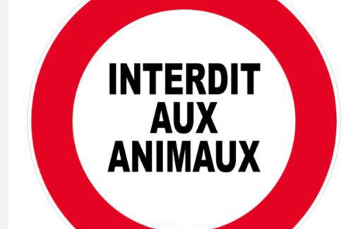 Chalet Ro'mence, aux portes de la Savoie - Foto 2