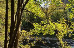 Domki Pod Lasem - Photo 42