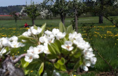 Baumanns Ferienhof Am See - Foto 8