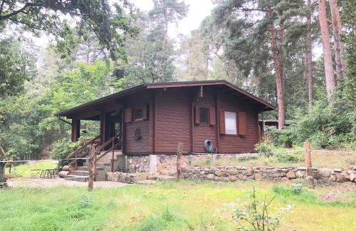 Ferienhaus Waldeule - Foto 1