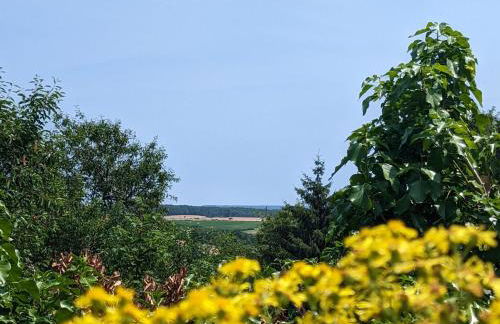 Charmante maison de village en Haute-Saône avec cheminée - FR-1-583-479 - Foto 22
