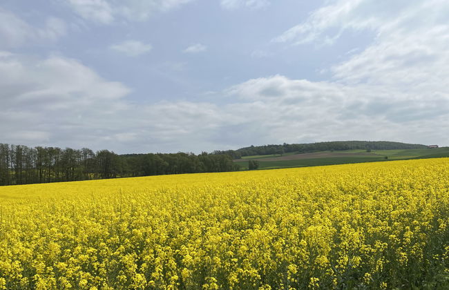 Ferienwohnpark Silbersee - Foto 39