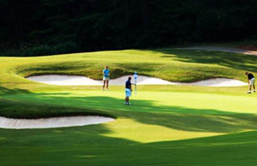 Lake & Mountain Resort Escape-Pools, Golf, Boat - Foto 56