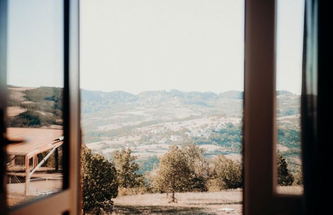 Azienda Agricola Saint Hubert - Foto 62