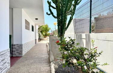 Sun Ventura - Photo 9