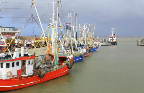 Nordsee Gulfhof 2 mit Garten Dornum 60 qm - Foto 35