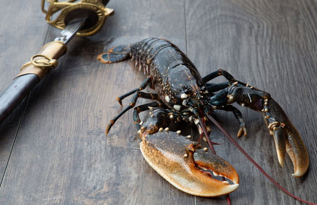 Hotel Pirates World - Foto 56