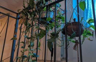 Casa di Leo - Photo 10