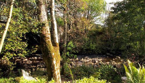 Kiln House, Keltneyburn - Foto 3, Garden view