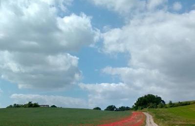 Apartment Kletterrose, Seenähe, Mecklenburgische Seenplatte - Foto 26