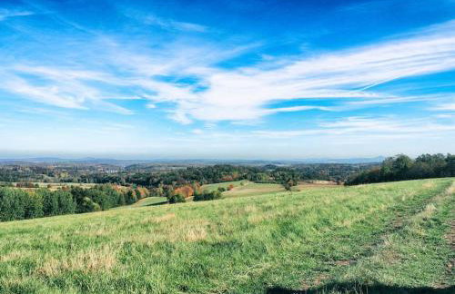 The Old Barn Luksusowa Stodoła z Całorocznym Jacuzzi Kominkiem i Widokiem na Wzgórza i Las dla 8-10 osób na Dolnym Śląsku min 2 noce - Foto 47