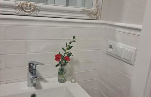 El Pis del Centre - Photo 10