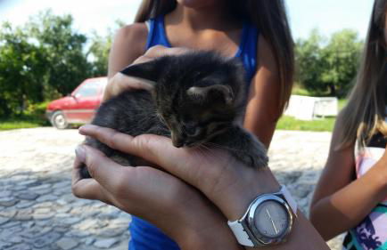 Country Rooms & Suite La Quercia - Foto 33