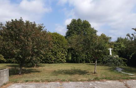 2-Bed House - Garden Parking Pets - Foto 14