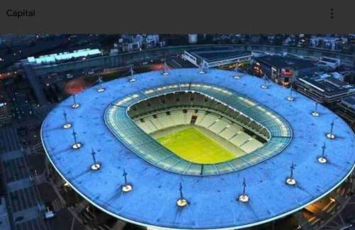 Jungle Chic - Foto 35