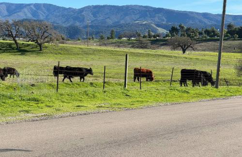 Prairie Home - Foto 32