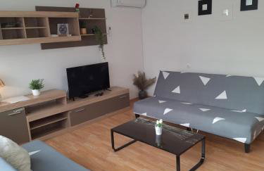 Apartment Banovac - Foto 5