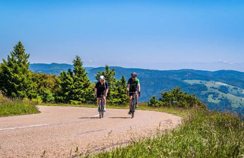 Ferienwohnung "Schlüchttalblick" mit privater Sauna, Ühlingen-Birkendorf - Foto 25