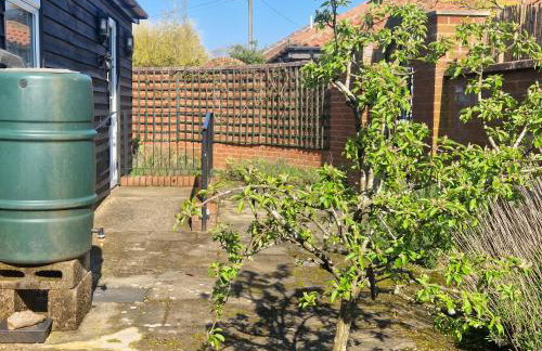 Primroses, Wood Farm - Foto 26