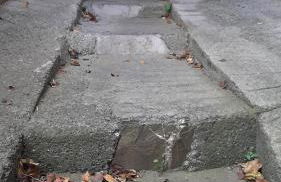 La casetta di Dora - Photo 11