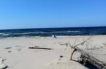 J.A.C.K.E.S. - Foto 37