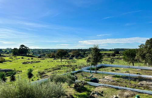 Tapada dos Ribeiros - Foto 3