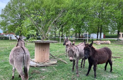 Wohnen in der ehemaligen Bauernstube - Foto 39