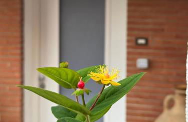 Cas'Ale ai Castelli Romani - Foto 30