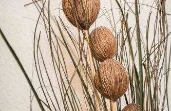 Gästehaus Herb - Photo 13