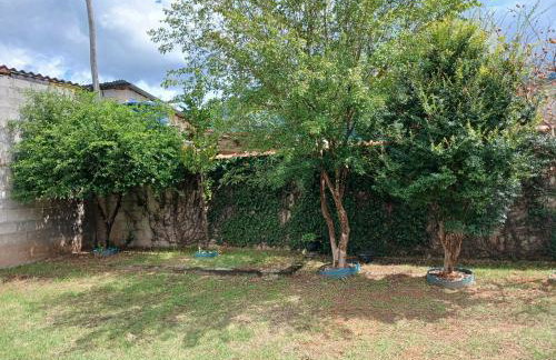 Chácara Vô Chico - Foto 50