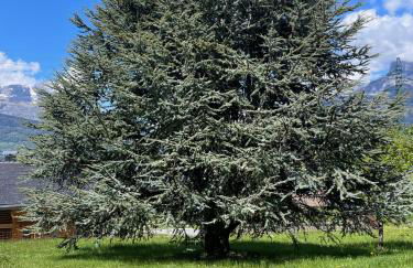 Chalet de la buche croisée - Foto 35