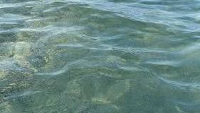 Villetta farfalle - Foto 5