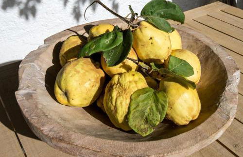 Cortijo La Viñuela - Foto 65