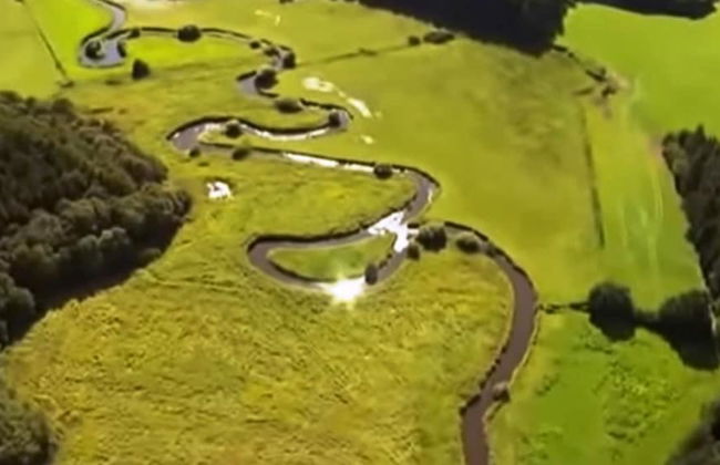 Ferienhaus in Hunning an der Treene - Foto 42