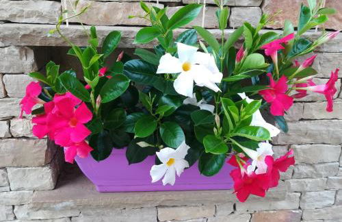 Casa Viola - Foto 29