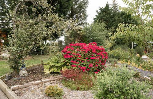 LakEscape - Waterfront Self- Catering Cabins - Foto 5