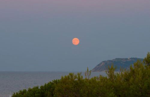 Family Residence Nuova Orchidea - Foto 33