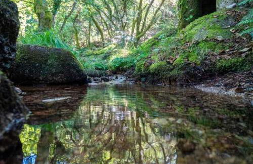 Casa dos Leões- Aldeia dos 4 abades - Foto 32