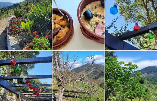 Bosque da Fantasia - Foto 18