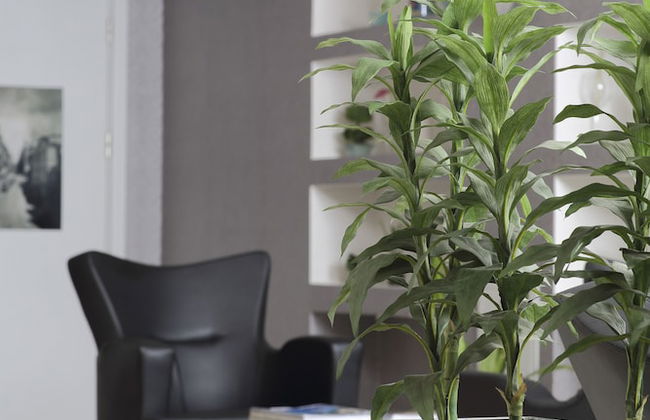 Entes Apart - Foto 7