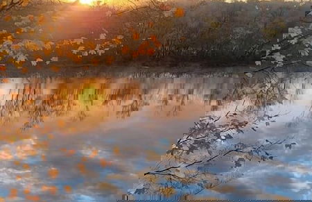 Wildwood Cottages - Foto 20