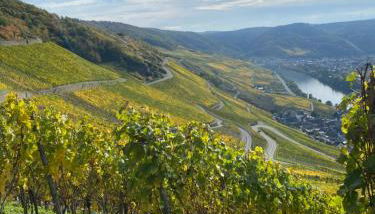 Apartment an der Mosel 1 - Foto 4