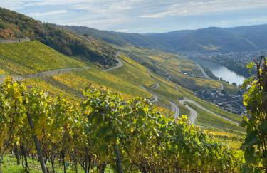 Apartment an der Mosel 1 - Foto 4