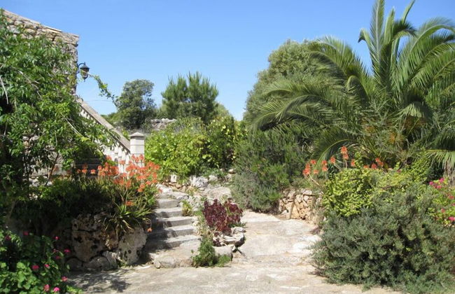 Finca Sa Cova Vella - Photo 24