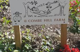 The Lazy Shepherd - Foto 15