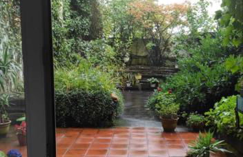 Down-Town-Oasis - Foto 16