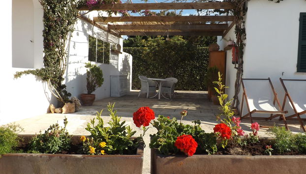 Nure Cel Blau - Foto 2