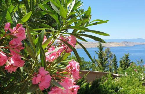 Apartments Villa Antonia - Photo 72