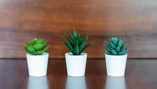 Maison Cècile Appartamento in villa. Host Marianna - Foto 5