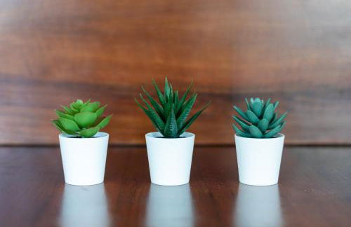 Maison Cècile Appartamento in villa. Host Marianna - Foto 5